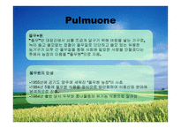 풀무원 PULMUONE기업분석-3
