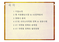 KT 서비스 마케팅 전략 성공사례 문제점 발전방향-2