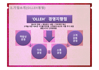 KT 서비스 마케팅 전략 성공사례 문제점 발전방향-4