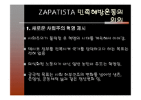 ZAPATISTA 그 이상의 의미-12