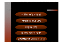 ZAPATISTA 그 이상의 의미-15