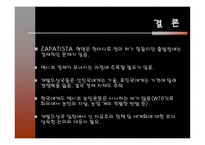 ZAPATISTA 그 이상의 의미-16