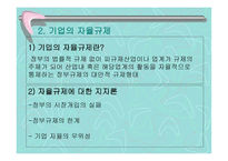 기업 의자율 규제 및 기업과 정부 의협력-10