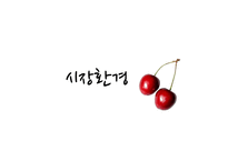 총각네 야채가게 기업소개-10
