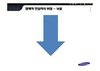 삼성전자의 경영전략-13
