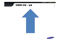 삼성전자의 경영전략-15