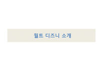 20세기 성공형 애니메이션의 선구자 월트 디즈니1-3