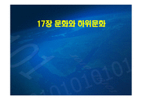 문화와 하위문화1-1