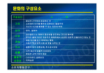 문화와 하위문화1-3