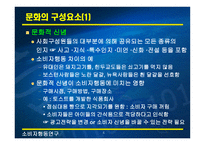 문화와 하위문화1-4