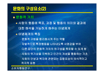 문화와 하위문화1-5