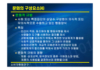 문화와 하위문화1-7