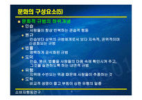 문화와 하위문화1-8