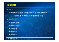 문화와 하위문화1-9