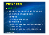 문화와 하위문화1-12
