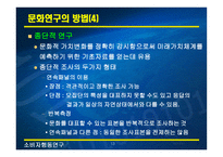 문화와 하위문화1-13