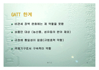 WTO 이해하기 레포트-8