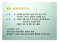 WTO 이해하기 레포트-10