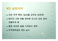 WTO 이해하기 레포트-11