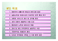 WTO 이해하기 레포트-13