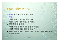 WTO 이해하기 레포트-17