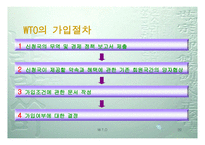 WTO 이해하기 레포트-20
