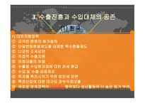 동북아시아경제발전모형-19