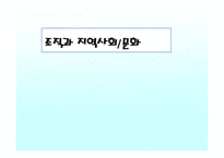 조직과 지역사회문화-1