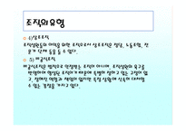 조직과 지역사회문화-8