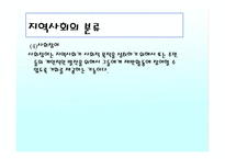 조직과 지역사회문화-19