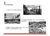 인종과 갈등 프리모 레비&아우슈비츠 사건-5