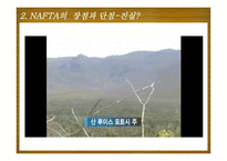 NAFTA가 멕시코 경제에 미친 영향-13