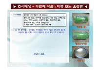 가공식품의 표시사항 조사-6