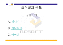 기업 사례연구 NC소프트-11