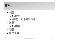 소비문화 변화에 따른 소비형태-2