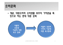 소비문화 변화에 따른 소비형태-3