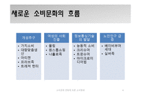 소비문화 변화에 따른 소비형태-4