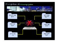 TripleX여행사 현황 Target별 마케팅 전략-4