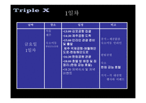 TripleX여행사 현황 Target별 마케팅 전략-5