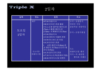 TripleX여행사 현황 Target별 마케팅 전략-6