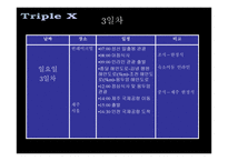 TripleX여행사 현황 Target별 마케팅 전략-7
