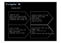 TripleX여행사 현황 Target별 마케팅 전략-13