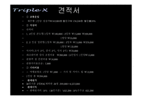 TripleX여행사 현황 Target별 마케팅 전략-15