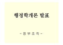 행정학개론 발표 정부조직-1