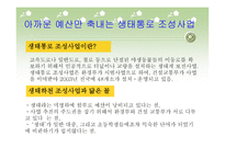 낭비행정의 전형 생태하천과 생태통로 조성사업-14