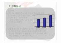 미녀는 석류를 좋아해 마케팅 전략 분석-5