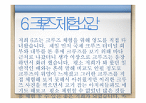 관광 경영론 크루즈-8