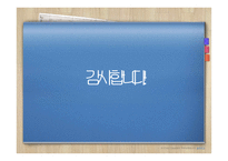 관광 경영론 크루즈-9