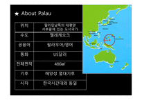 Palau팔라우 관광-3