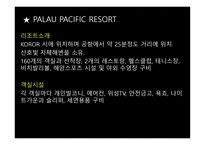 Palau팔라우 관광-8